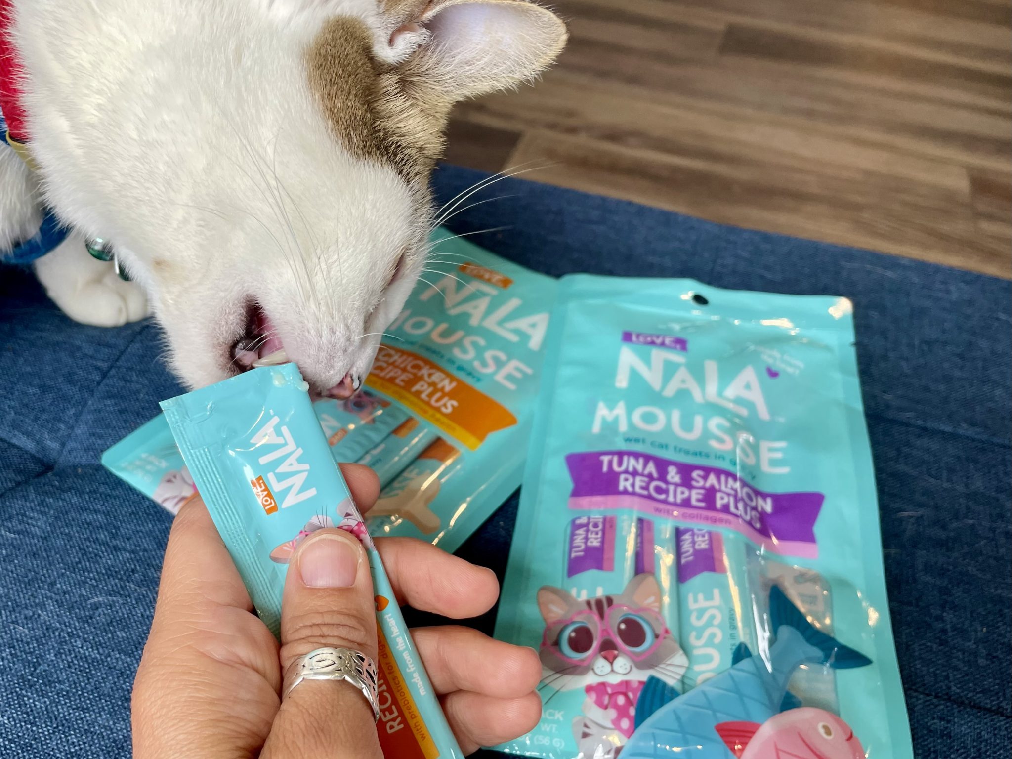 Love, Nala - Makoa eating mousse