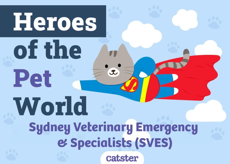 Sydney Veterinary Emergency & Specialists (SVES)