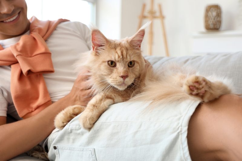 young man sitting on couch with his cat on his lap