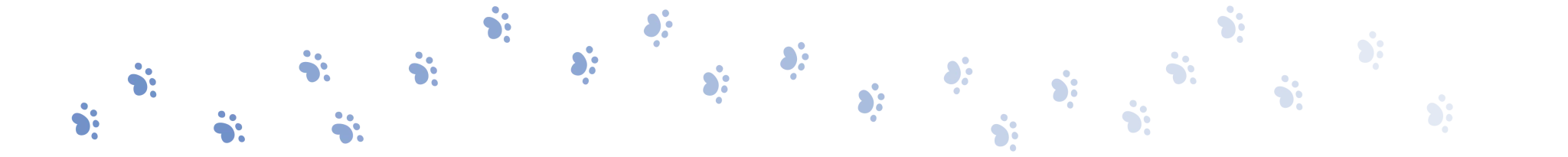 divider cat paws 2 oct 2025