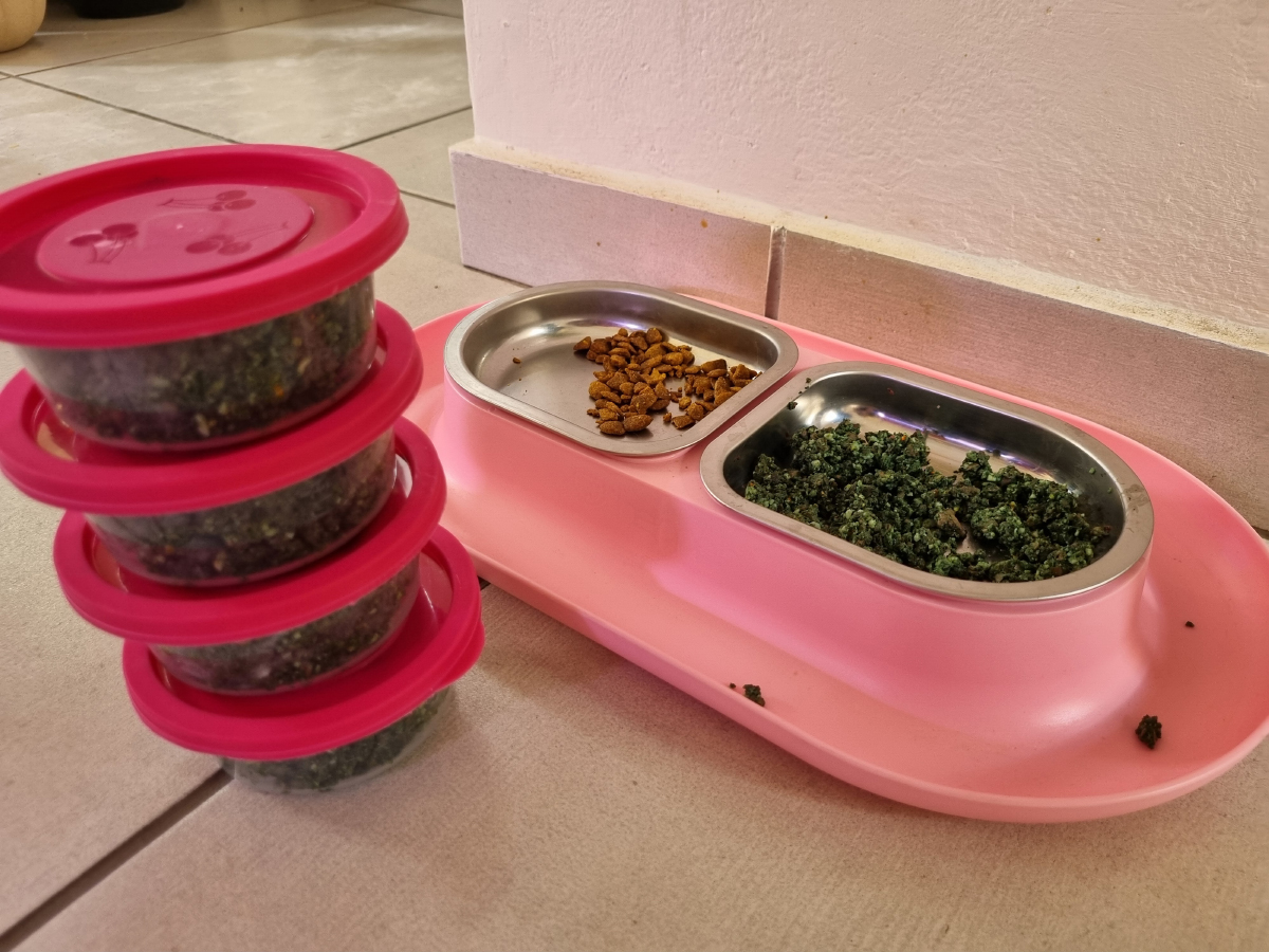 Picture of Homemade Low-Carb Chicken Cat Food Recipe: Dr. Lucky’s Meal Planning ...