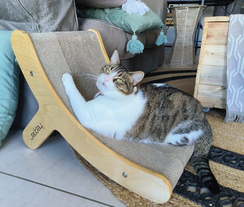 Milly and the Hepper Hi Lo scratcher