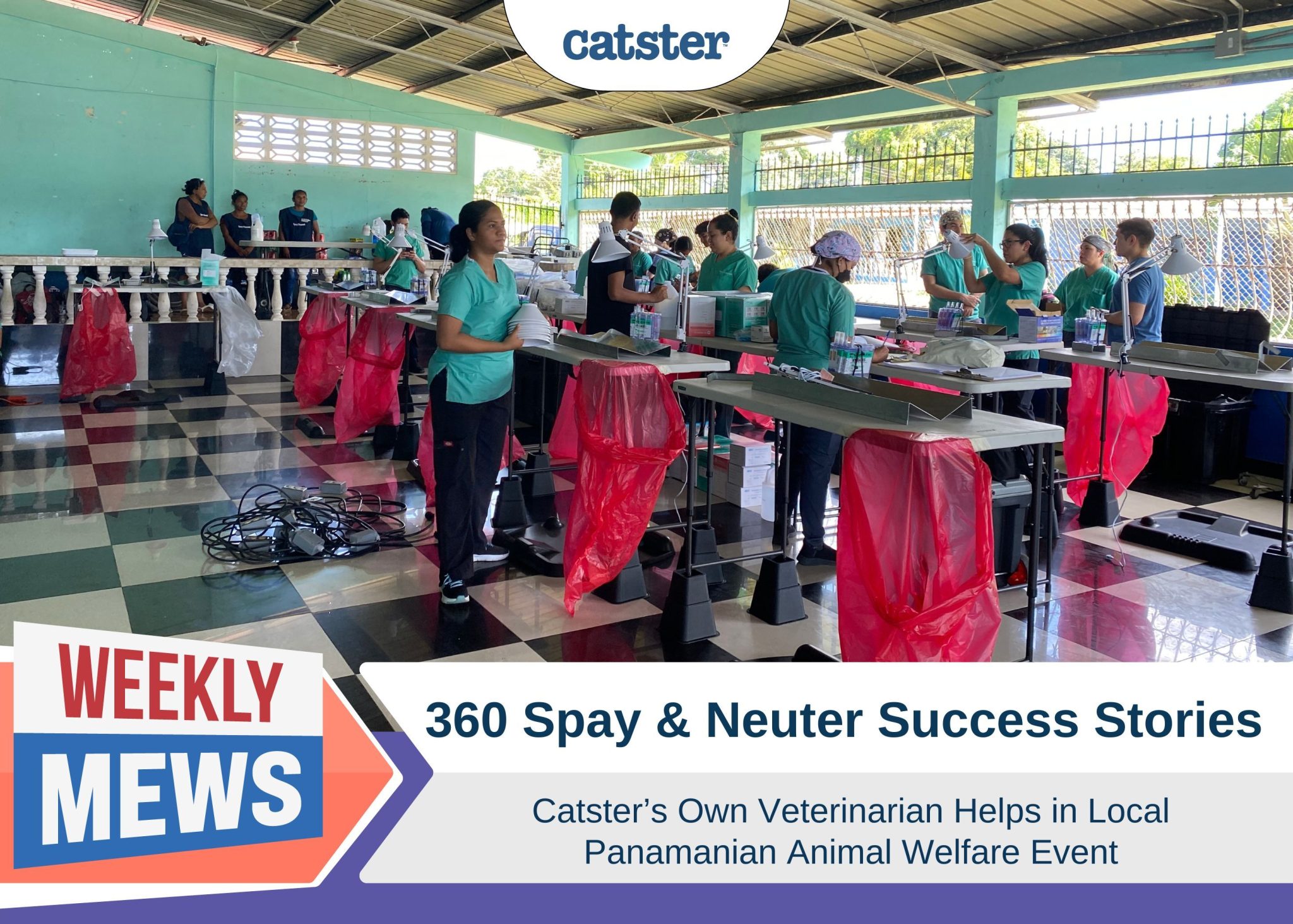 360 Spay Neuter Successes