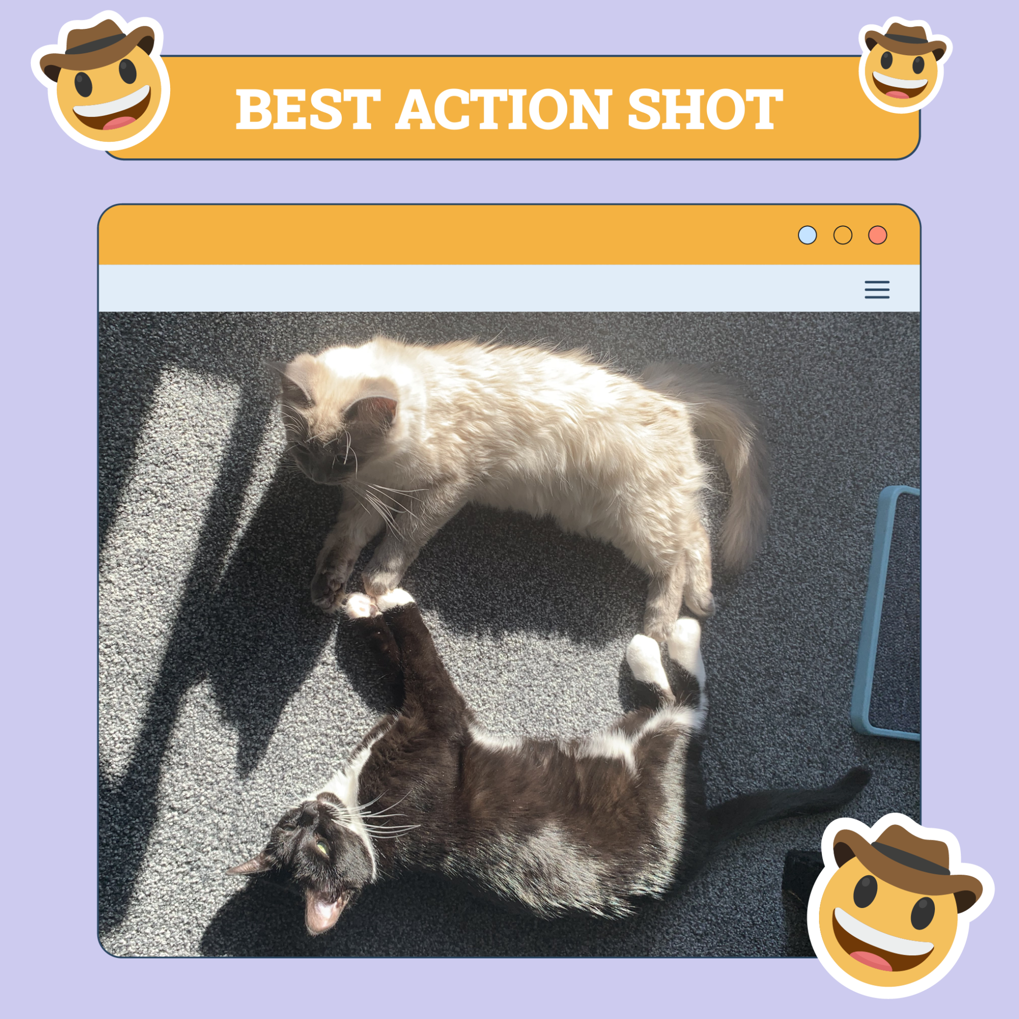 Best Action Shot