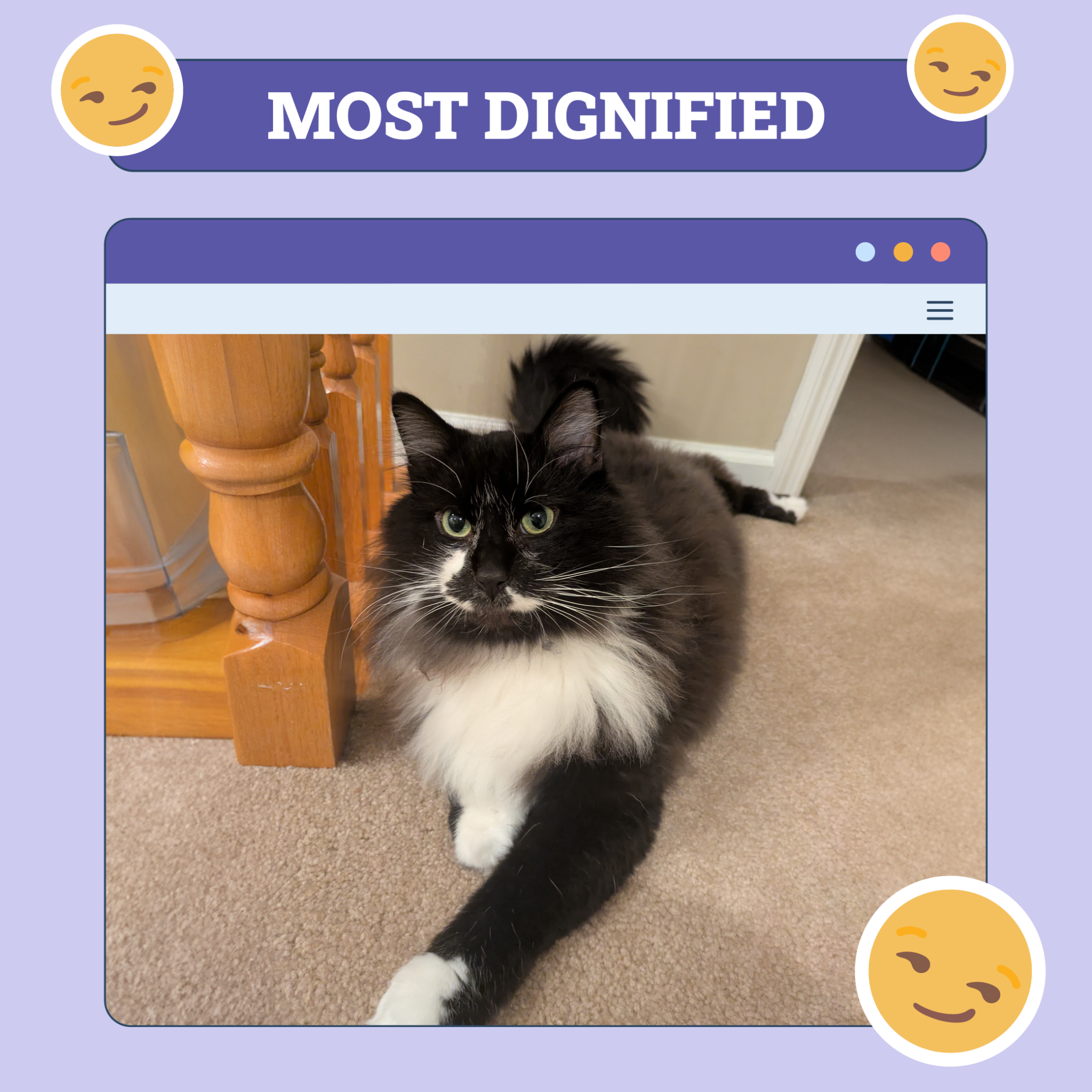 Most Dignified