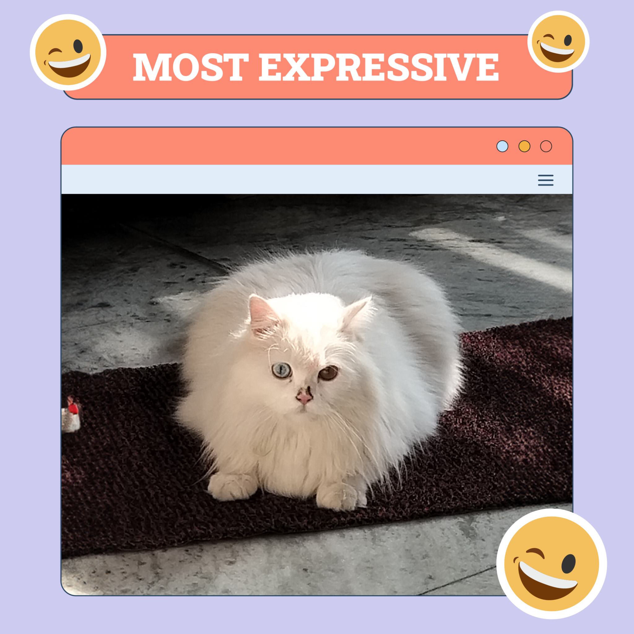 Most Expressive