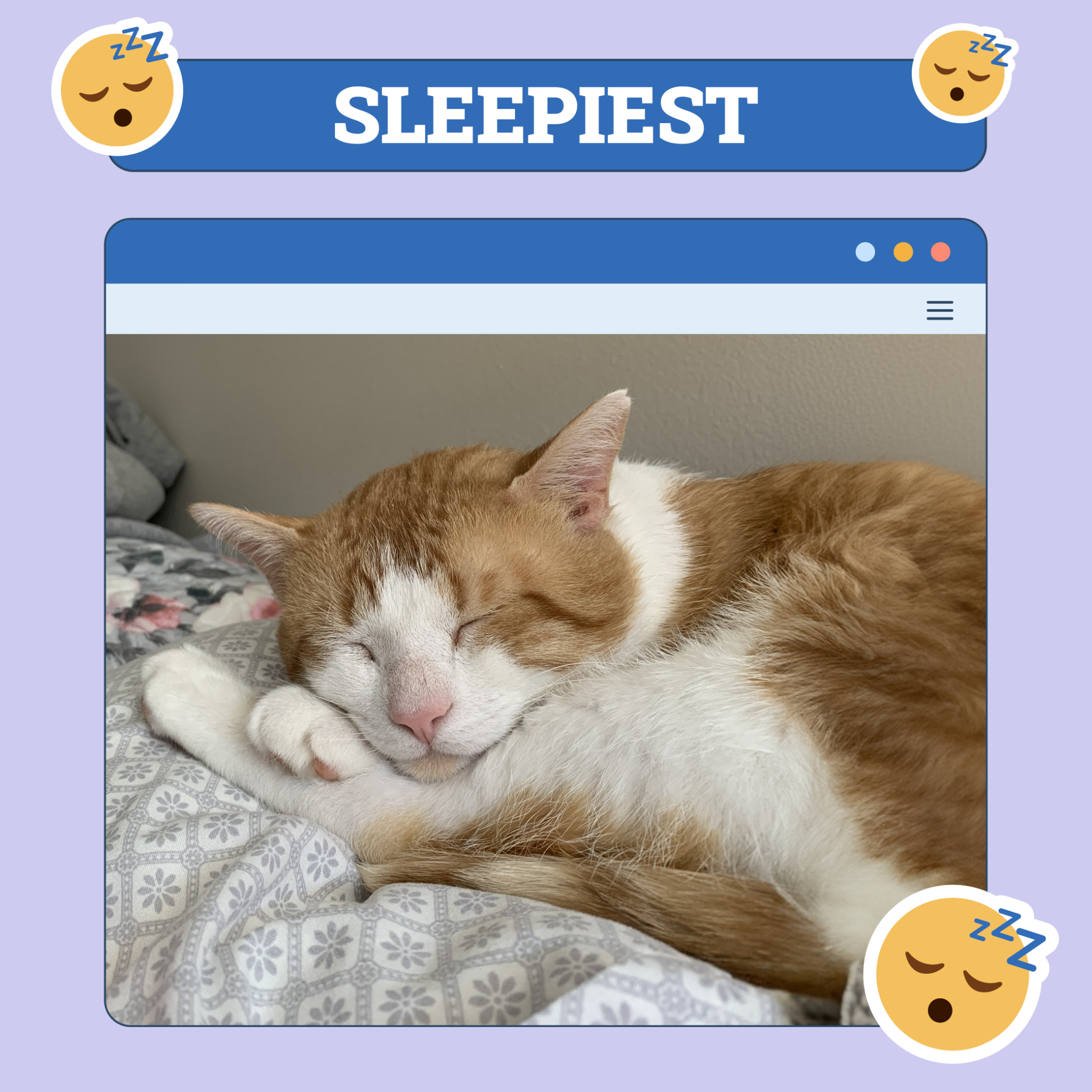 Sleepiest