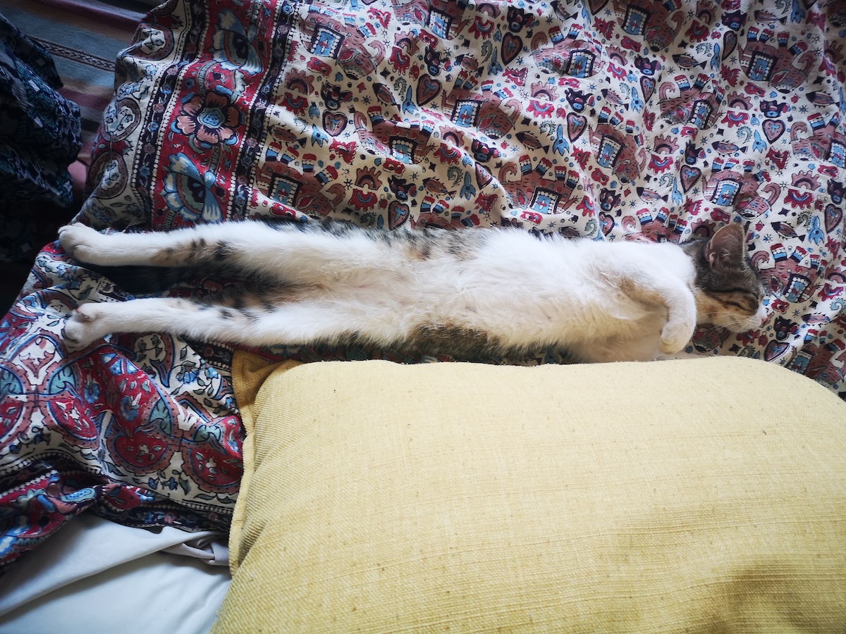 The Stretch ‘n Snooze Milly sleeping