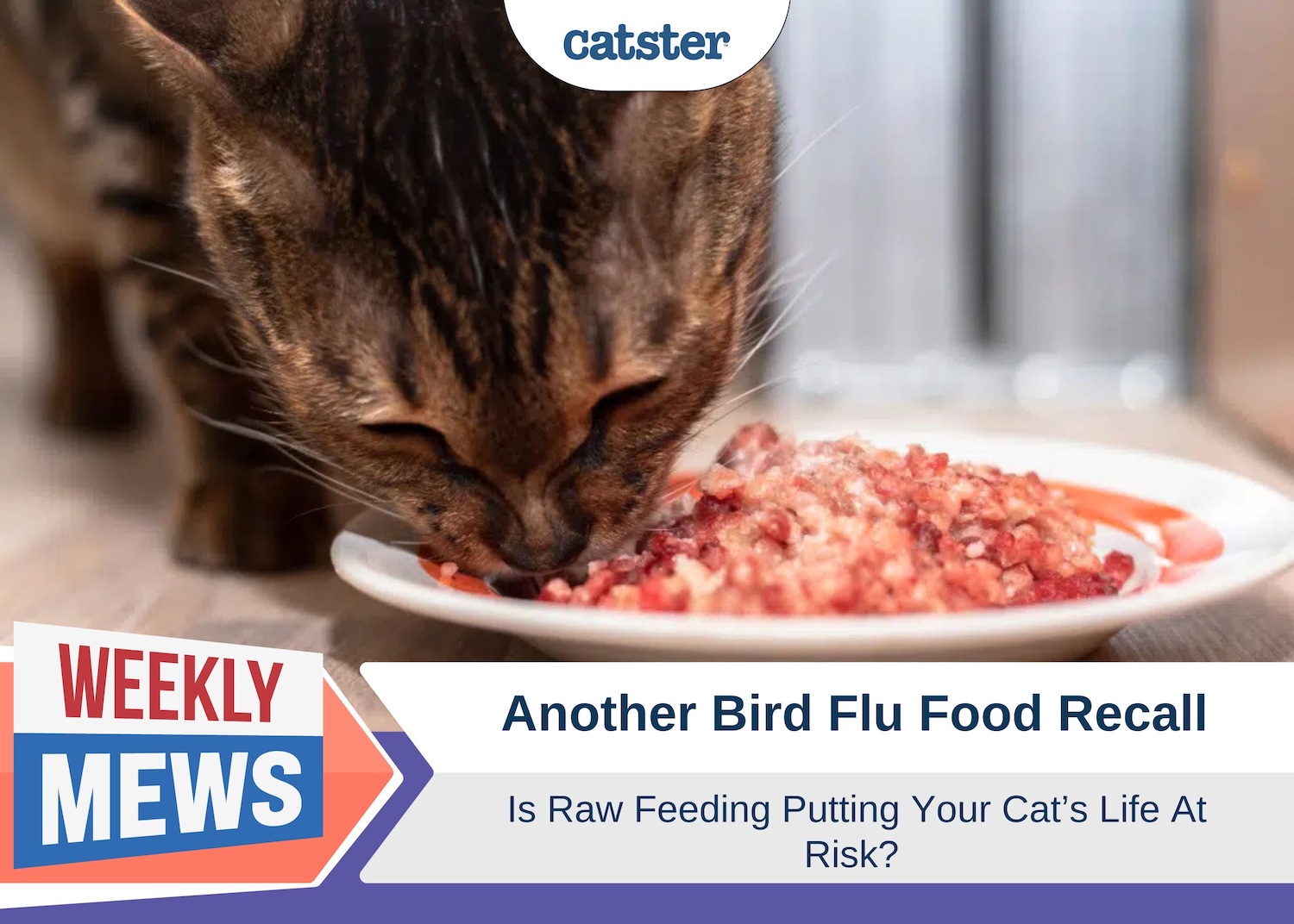 Weekly Mews another bird flu recall