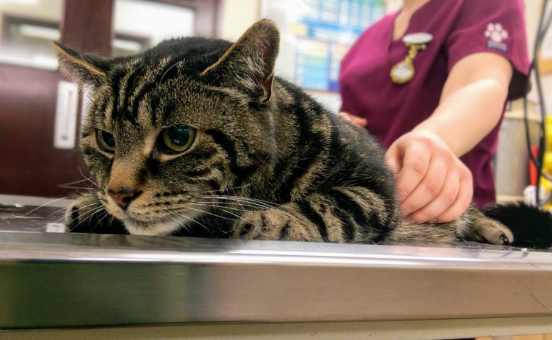 We're here for anything that makes cancer treatment better
