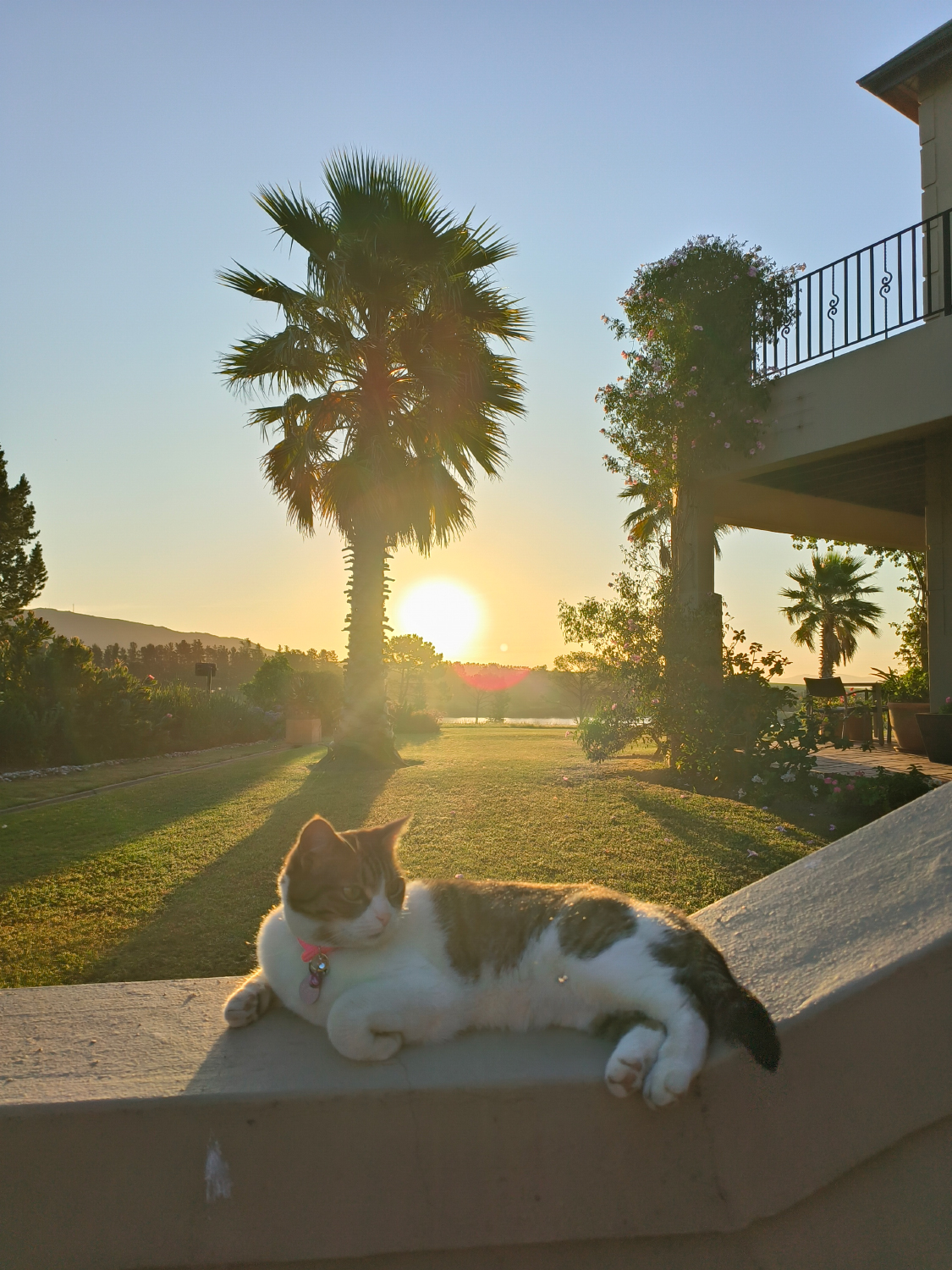 Admiring the sunset