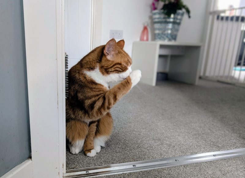 Alex cleaning himself and leaving the door frame filthy