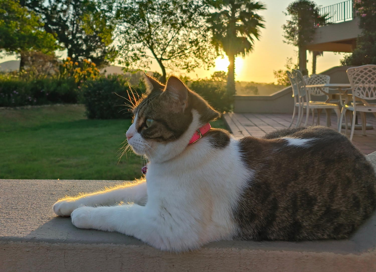 Birdwatching