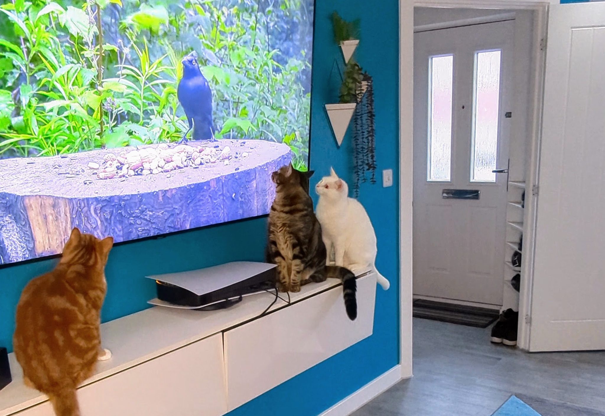Bringing the outdoors inside