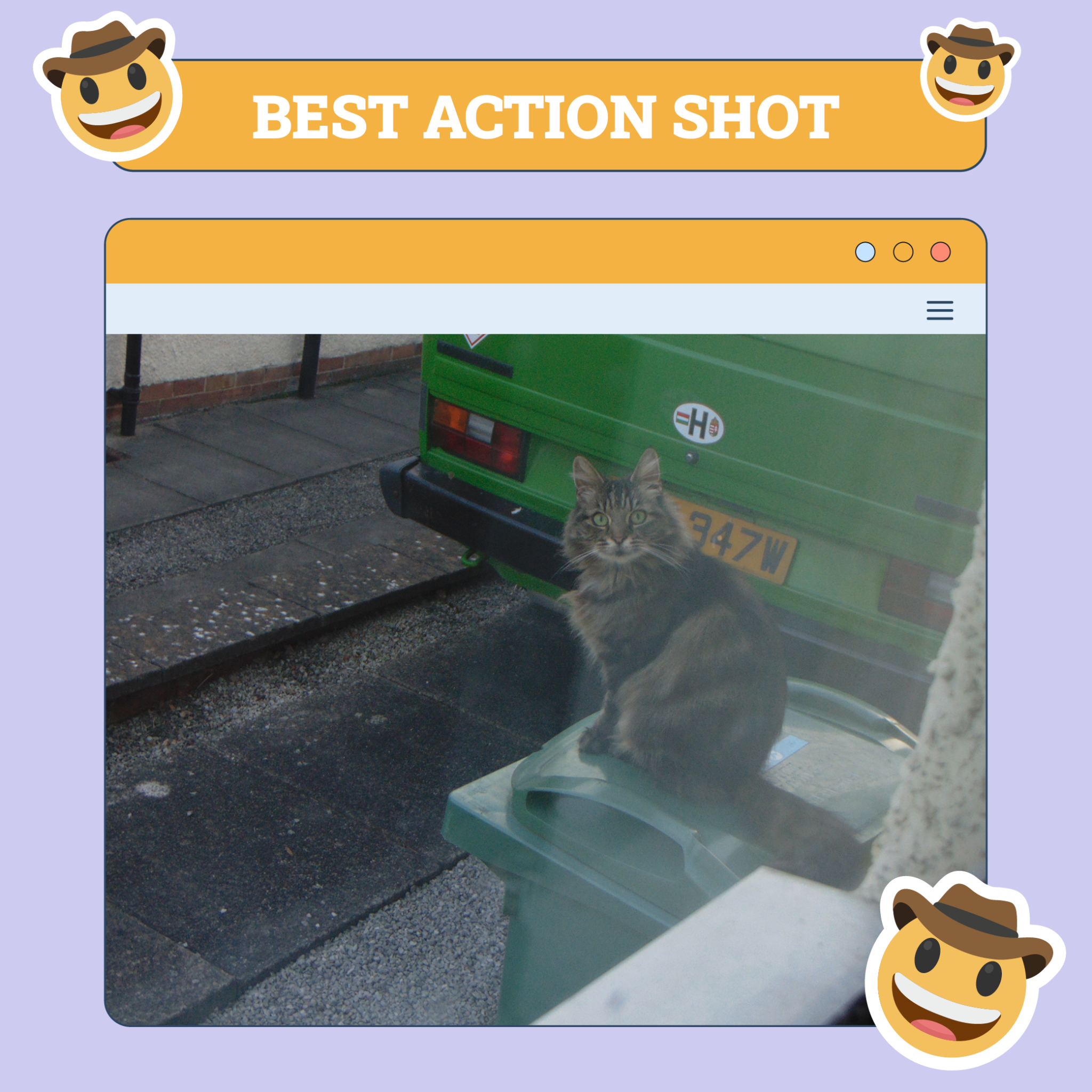 Catster Best Action Categories TEMPLATE v1 Oct 10 2024 Action Shot