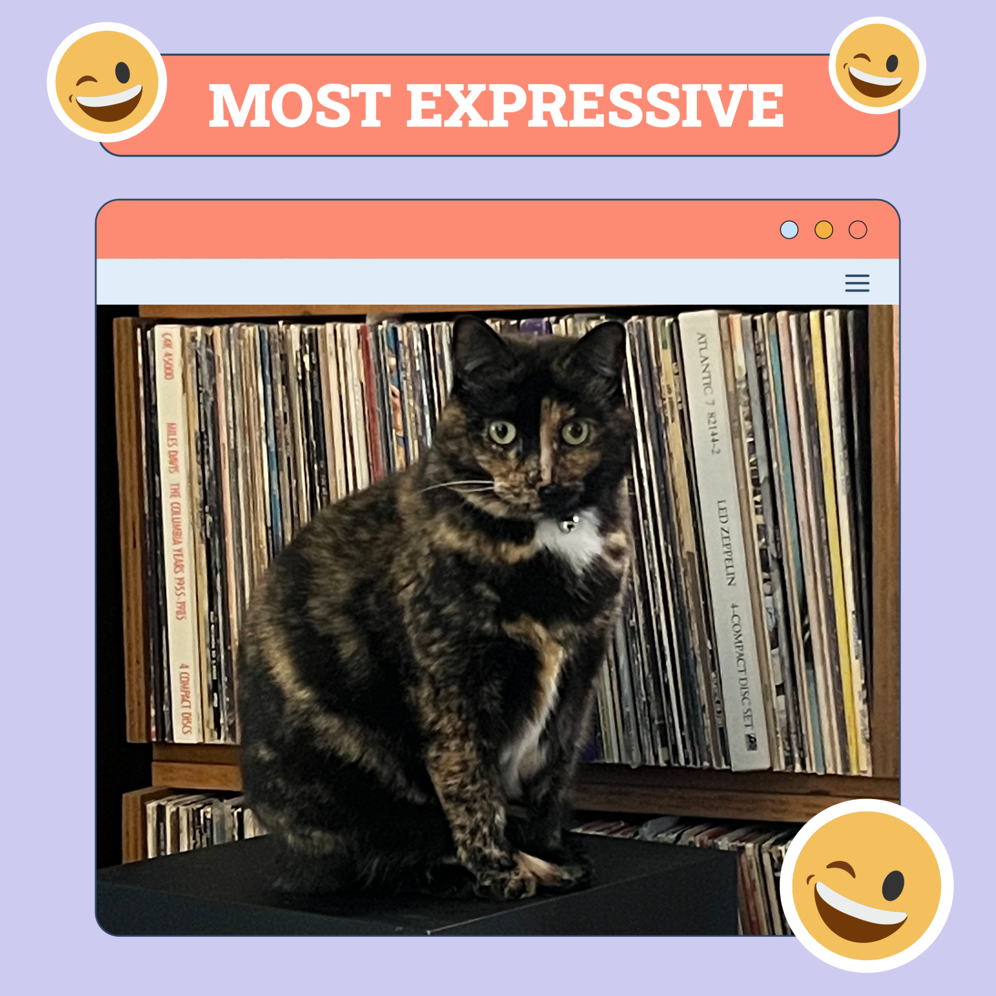 Catster Most ExpressiveCategories TEMPLATE v1 Oct 10