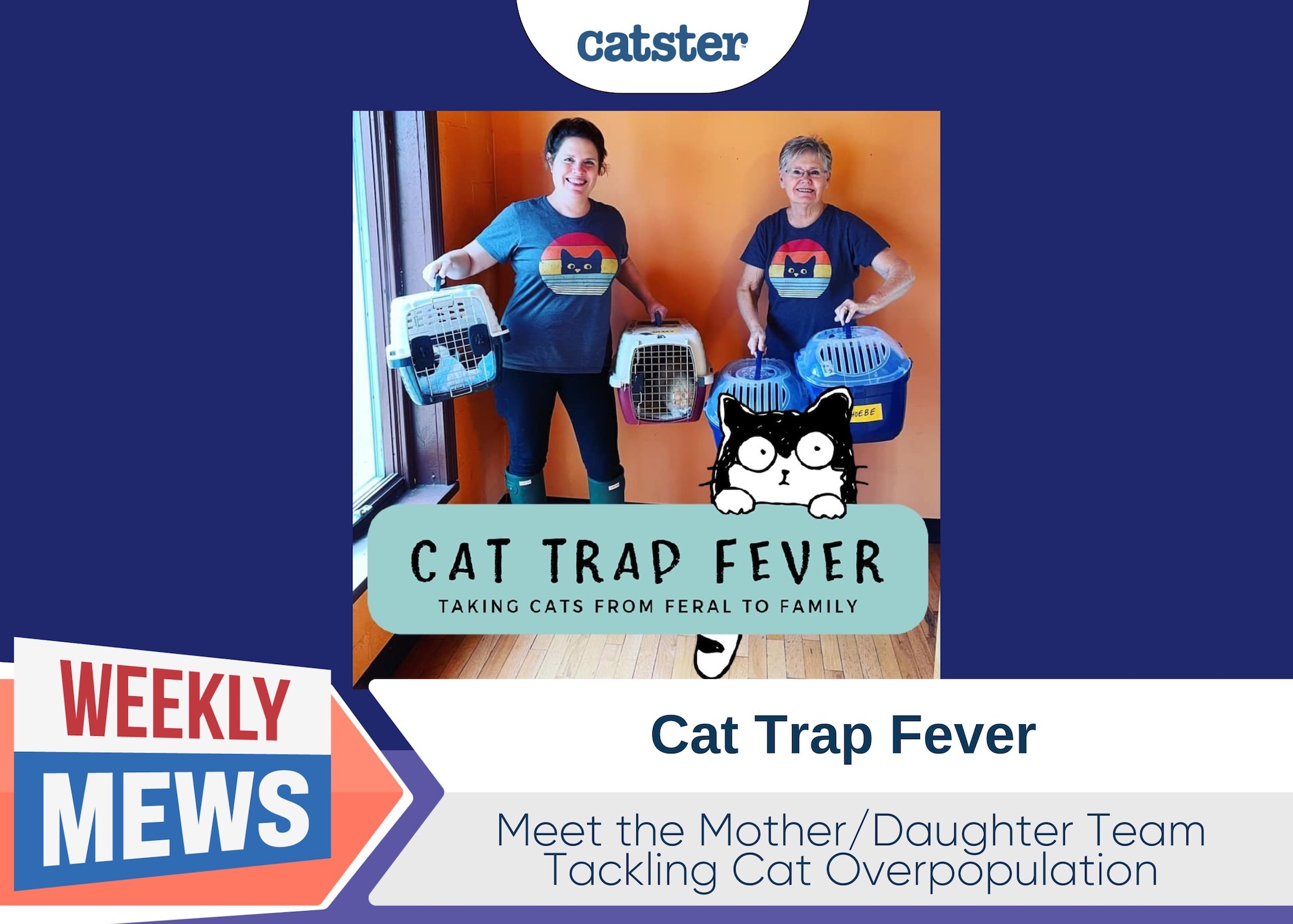 Weekly Mews Cat Trap Fever