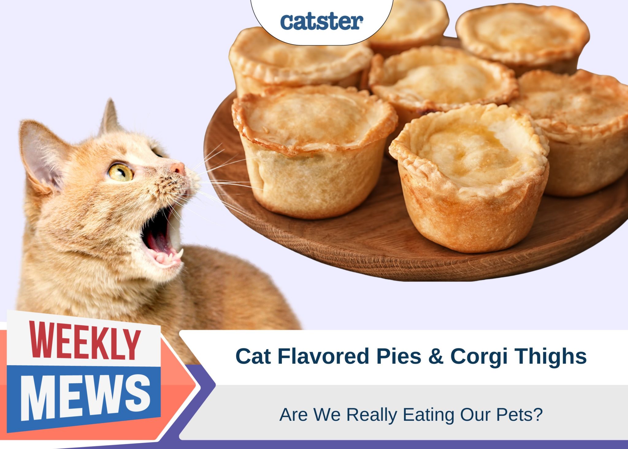 Weekly Mews Cat flavored pies