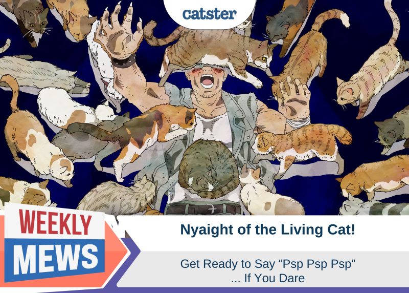 Nyaight of the Living Cat