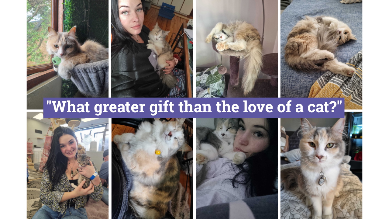 Crystal's favorite pics of Ivy