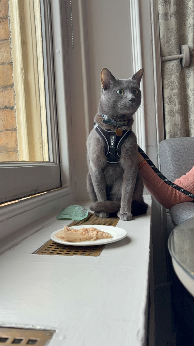 Feeding Raphael on the windowsill