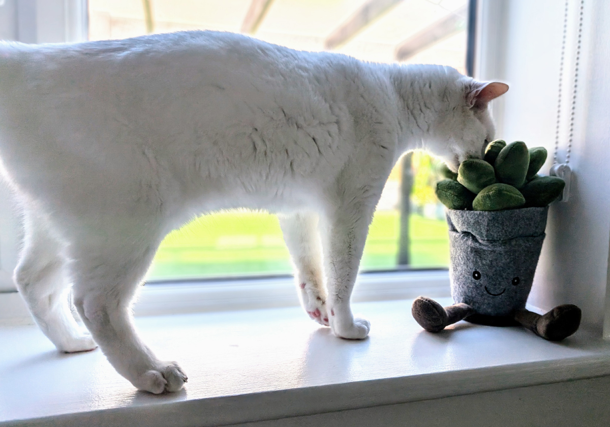Few plants are safe from Clutch