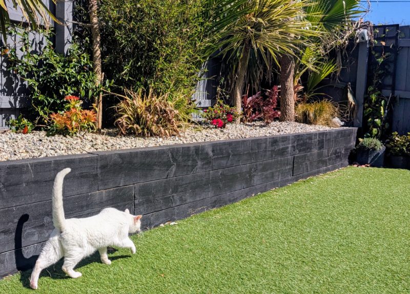 If not grass, why grass shape?