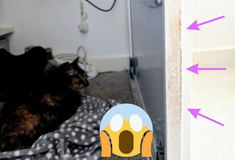 Look at the state of my wardrobe door!