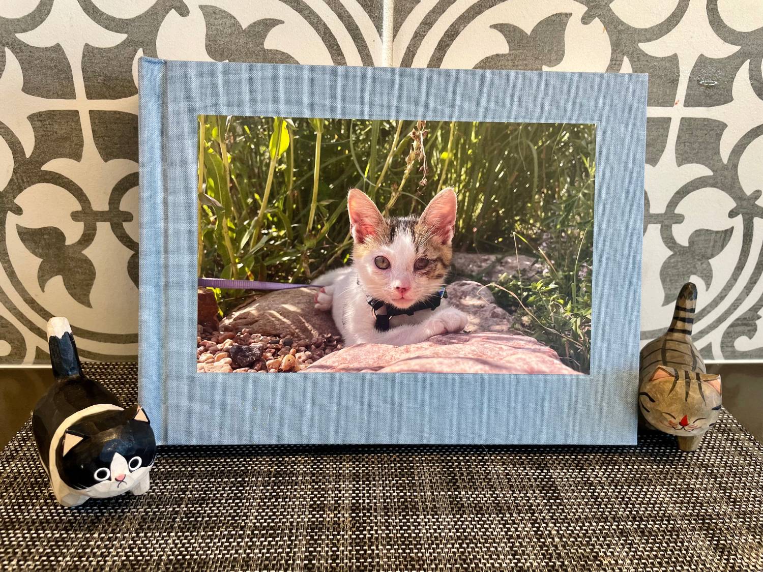 MILK Books Pet Photo Album Review - cover photo