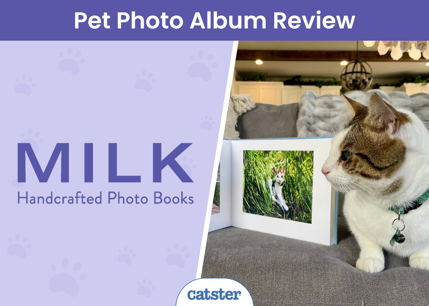 MILK Books Pet Photo Album Review - featured image
