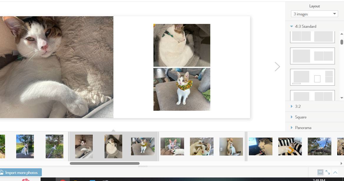 MILK Books Pet Photo Album Review - importing images