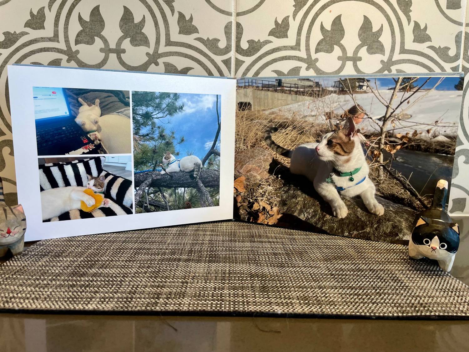MILK Books Pet Photo Album Review - open album
