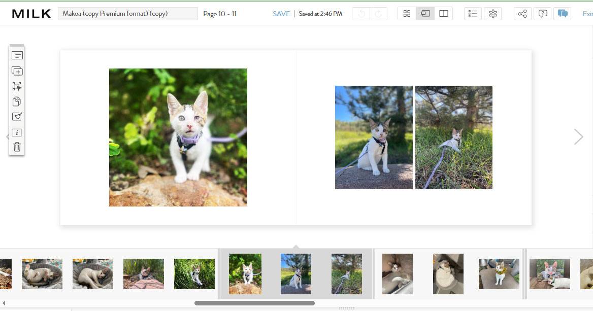 MILK Books Pet Photo Album Review - printing