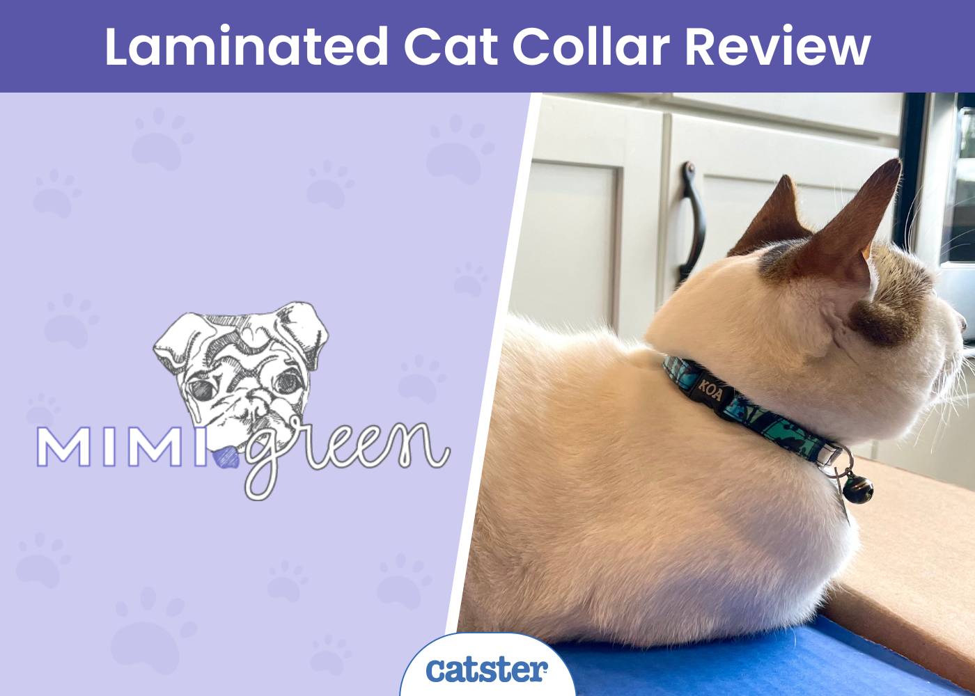Mimi Green Laminated Cotton Cat Collar - featured image