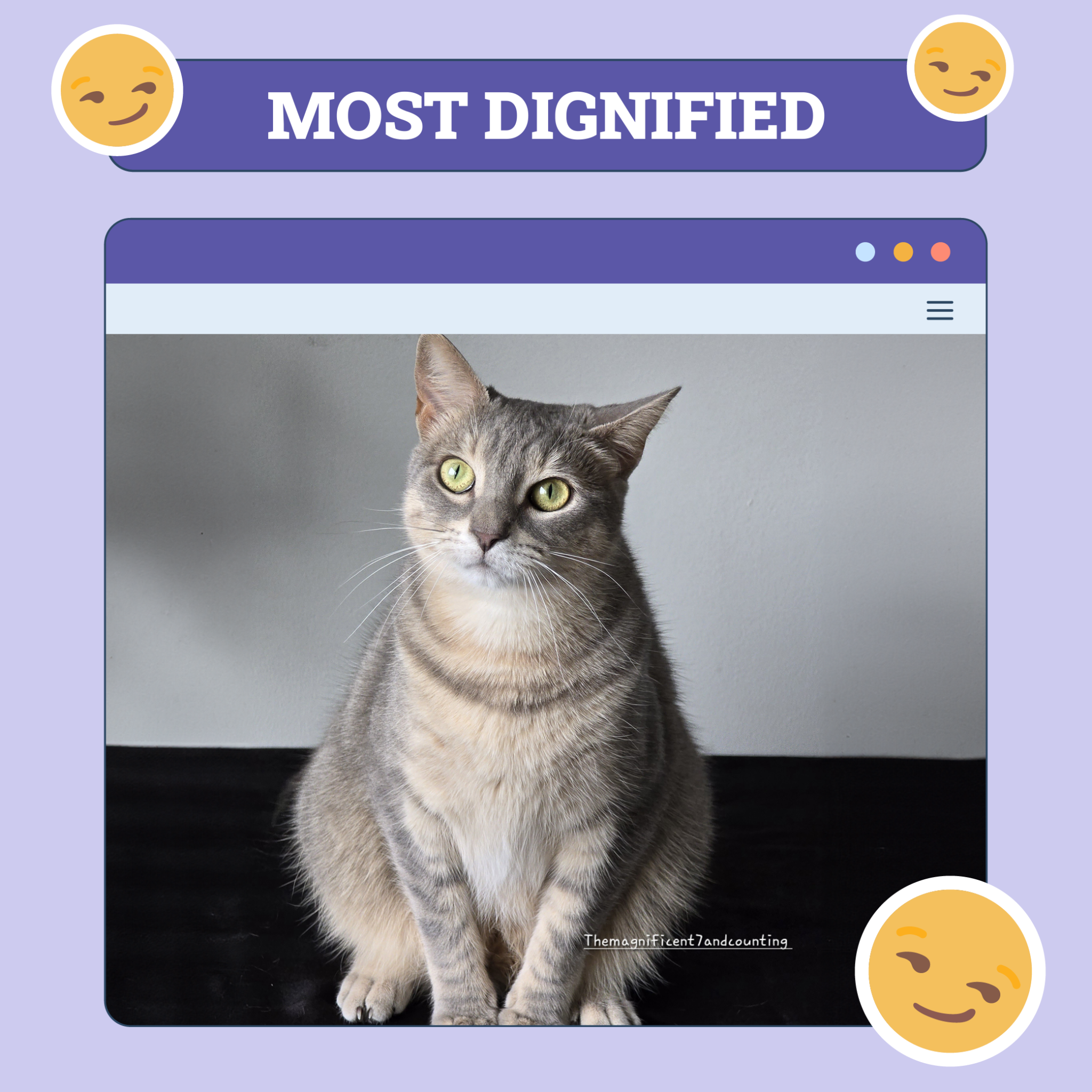 Most Dignified
