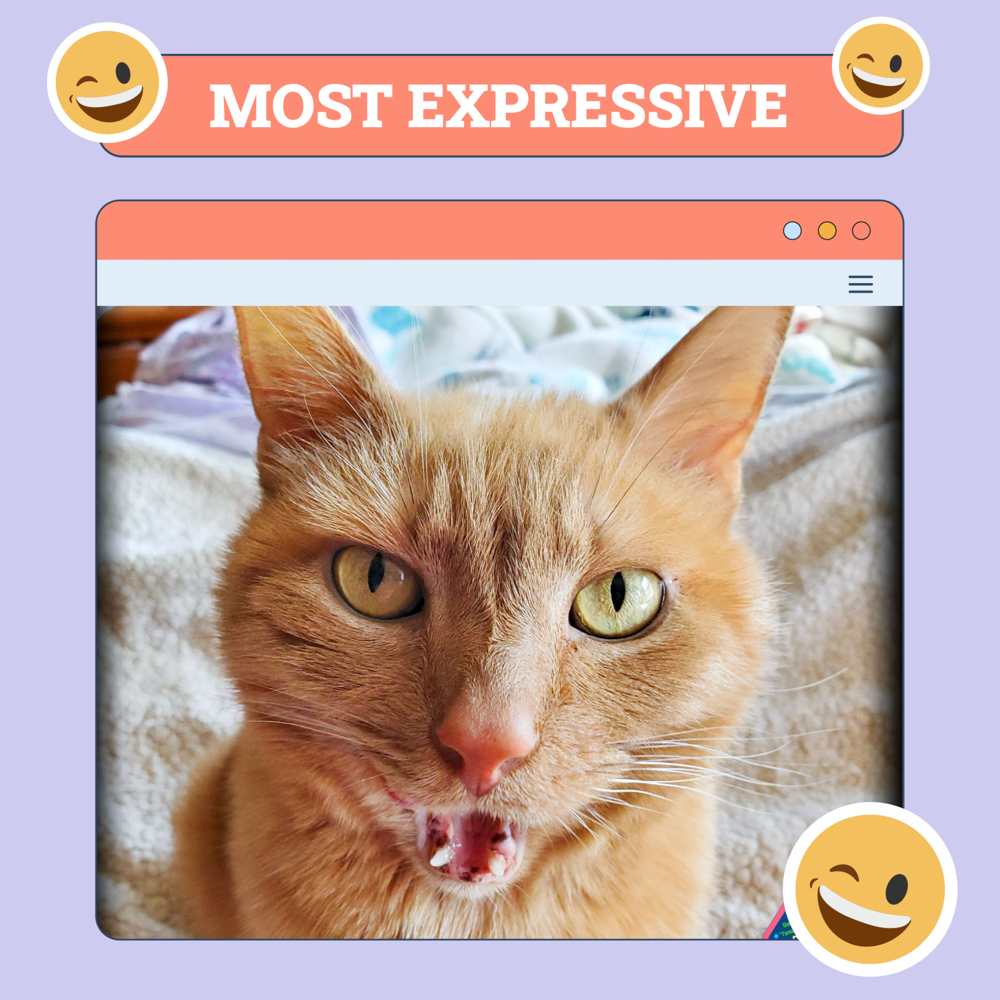Most Expressive