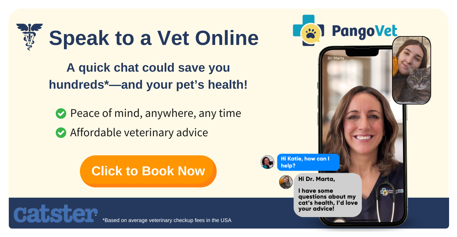 PangoVet_Mention-in-Content for PangoVet2 save money