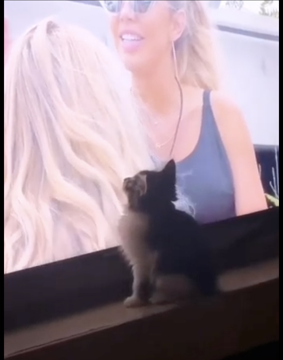 Shelby watching Love Island on TV