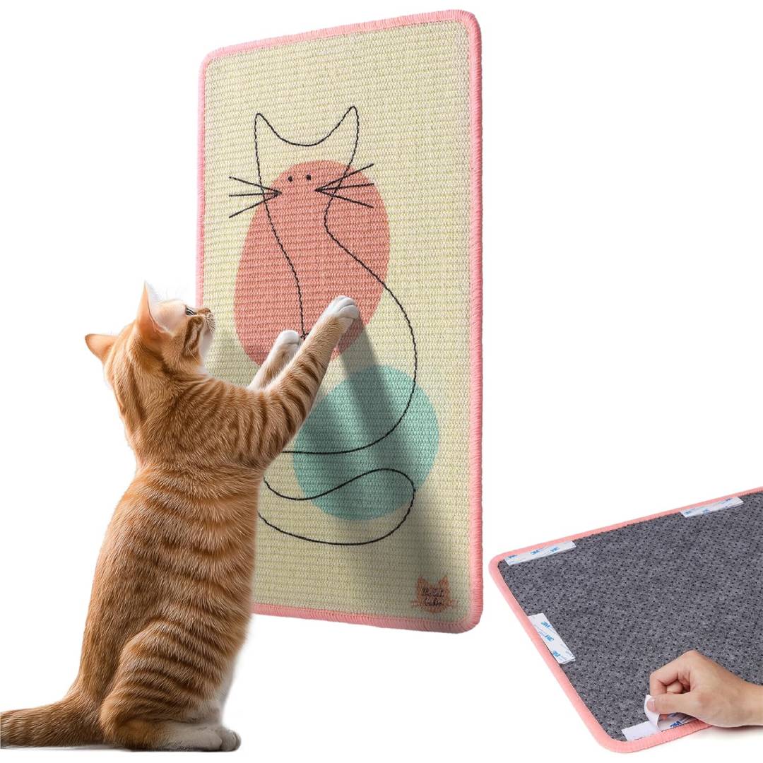 Cat Ladies artistic scratching posters