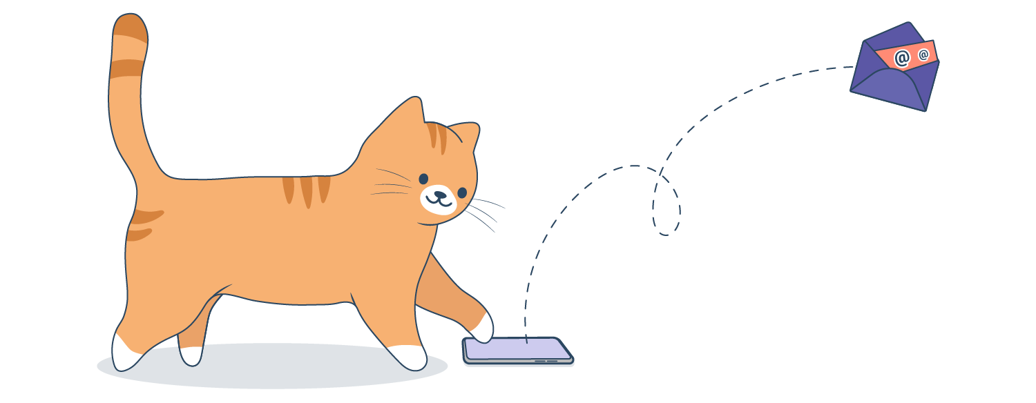 Is It Illegal To Drop A Cat Off At A Shelter Consequences Safer is-it-illegal-to-drop-a-cat-off-at-a-shelter-consequences-safer