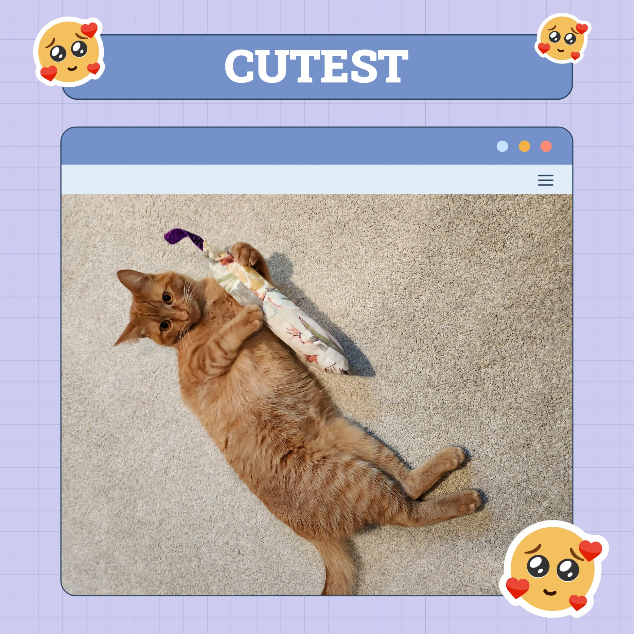 cutest june 5