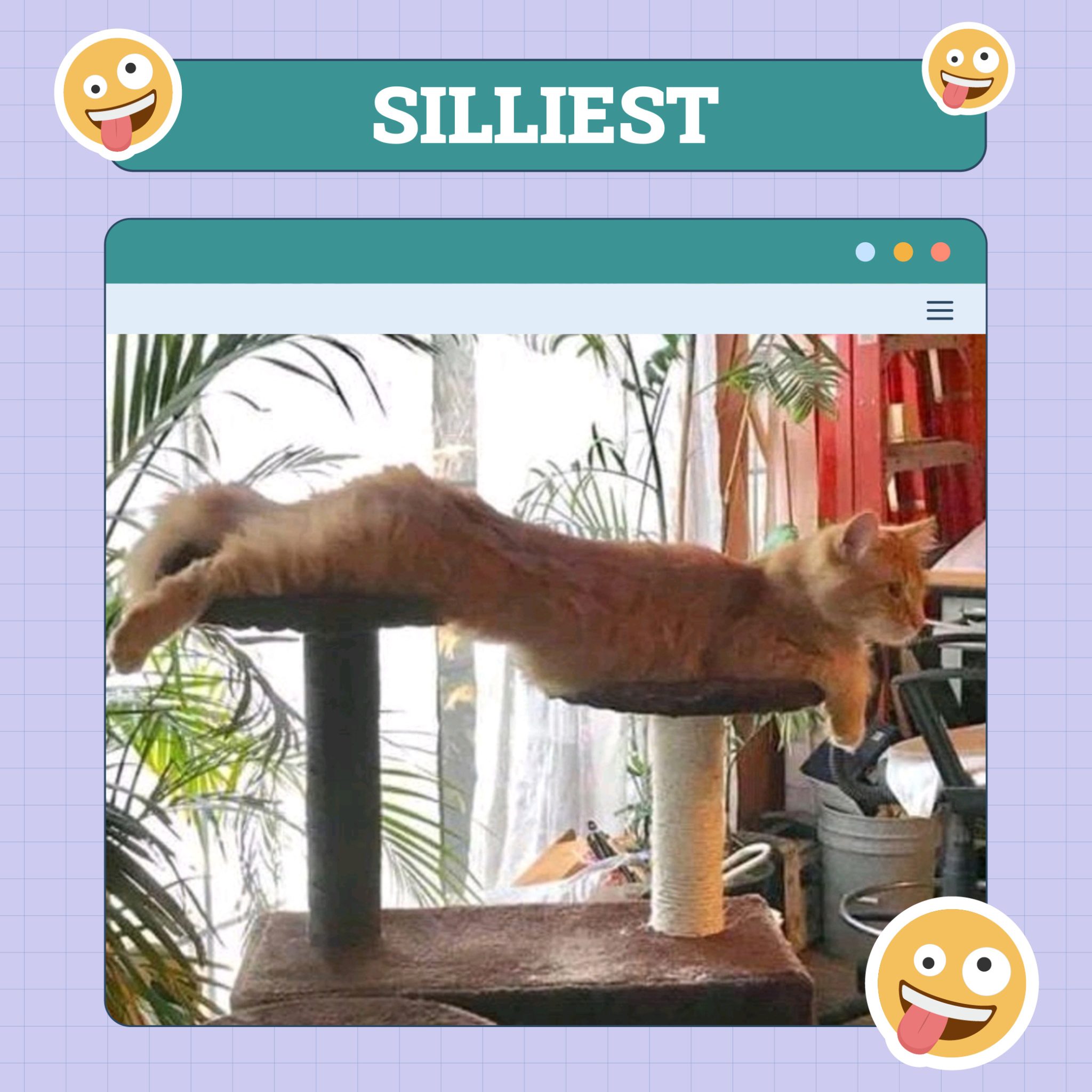 silliest_june5