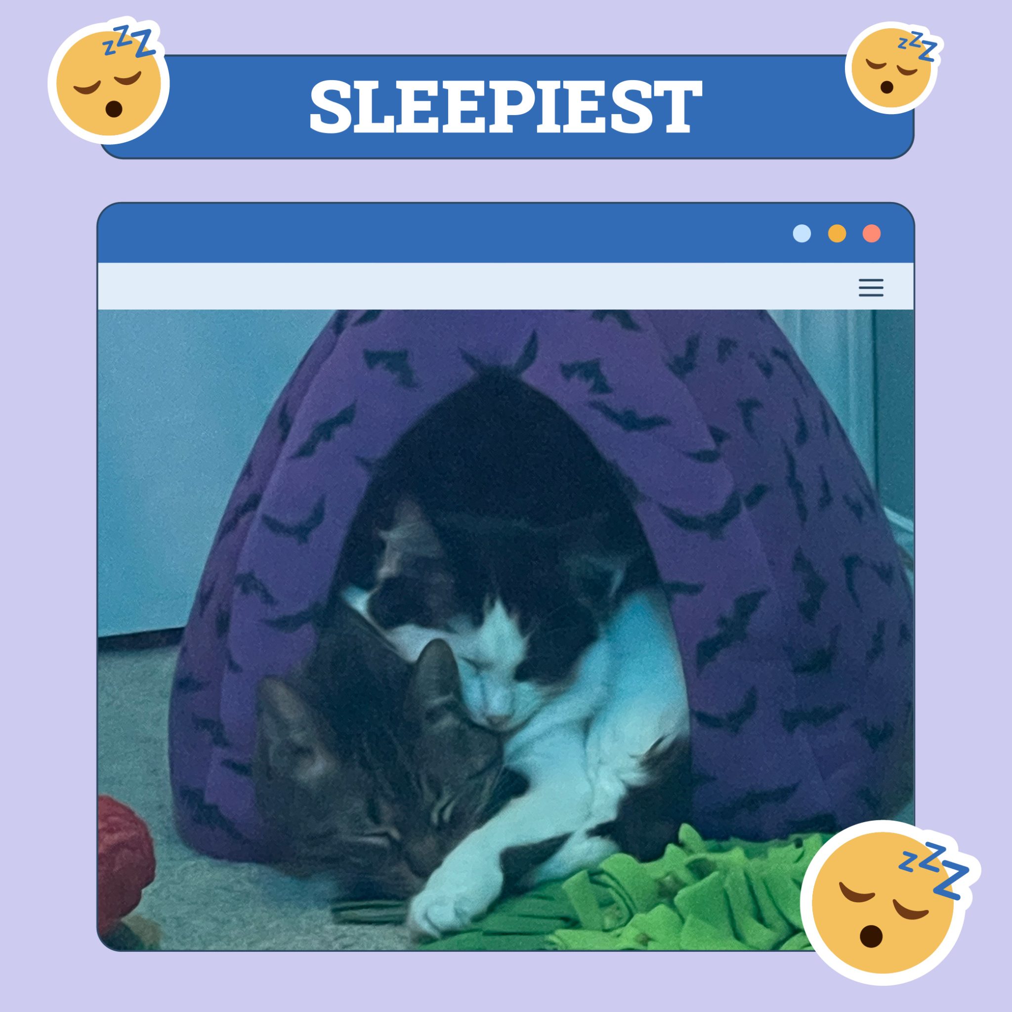 sleepiest_june5