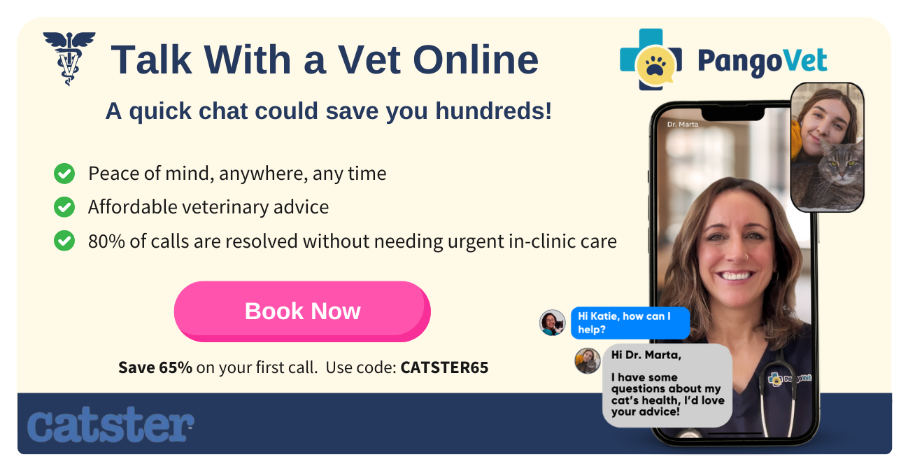 PangoVet_Mention-in-Content for PangoVet2 save money