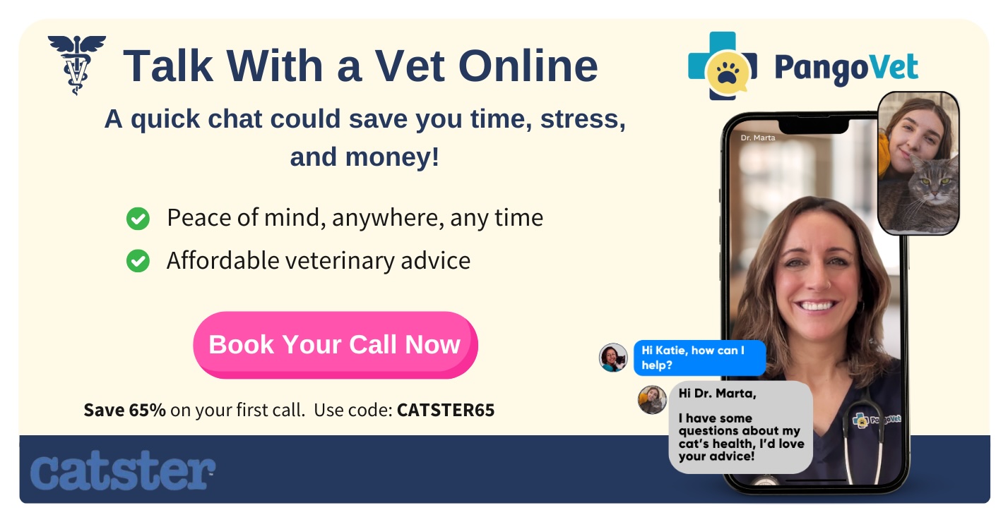 PangoVet_Mention-in-Content for PangoVet2 save money