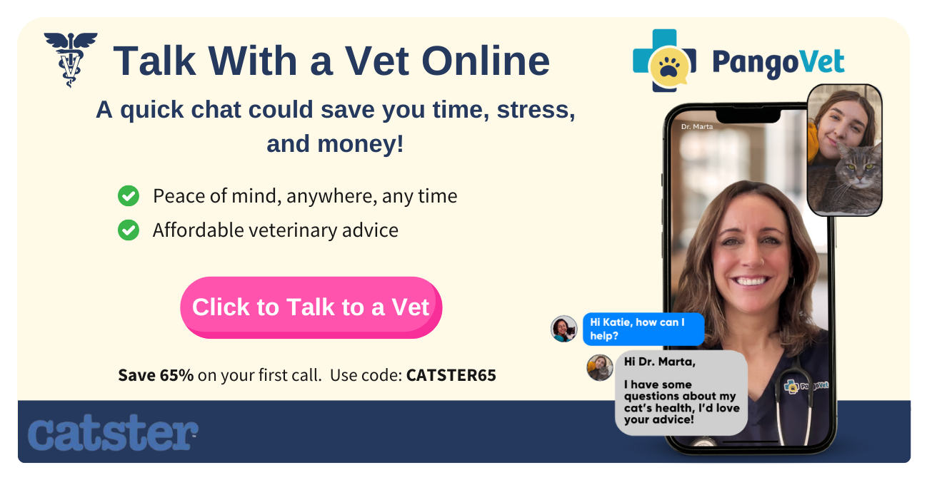 PangoVet_Mention-in-Content for PangoVet2 save money