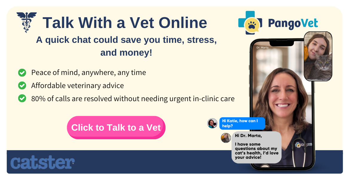 PangoVet_Mention-in-Content for PangoVet2 save money