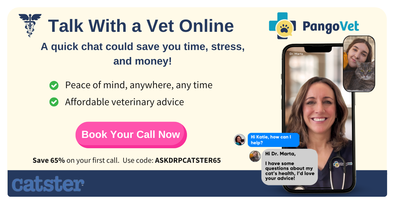 Pangovet_mention-in-Content for Pangovet