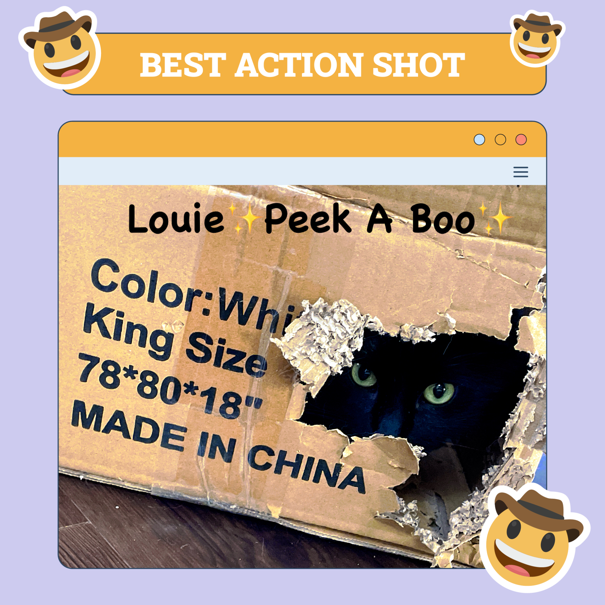 catster photo contest action 31 jul 25 scaled