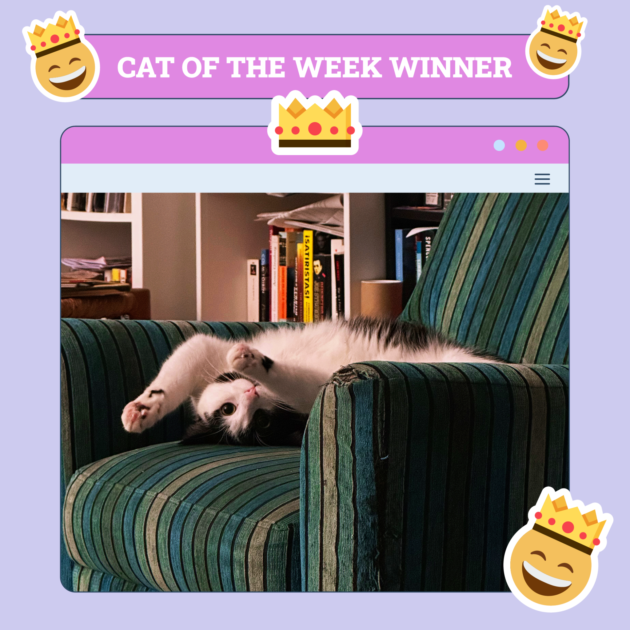 catster photo contest winner 31 jul 25 scaled